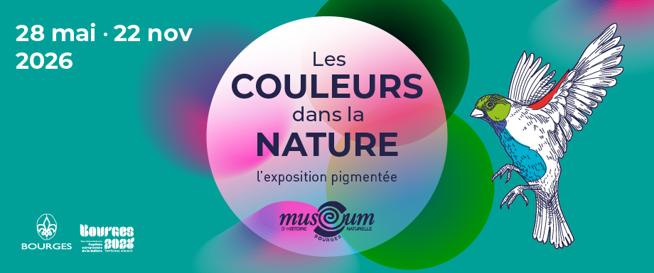Les couleurs de la nature