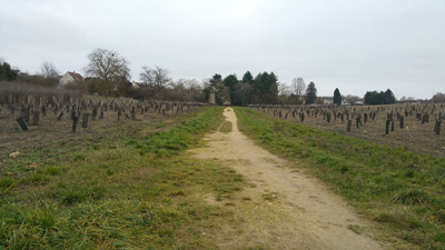 Corridor �cologique